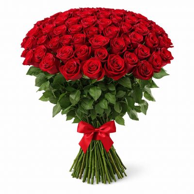 Розы Эквадор красные